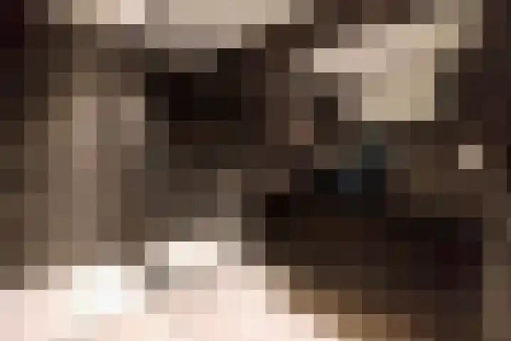 Veldweg 6 Buren thumbnail 32