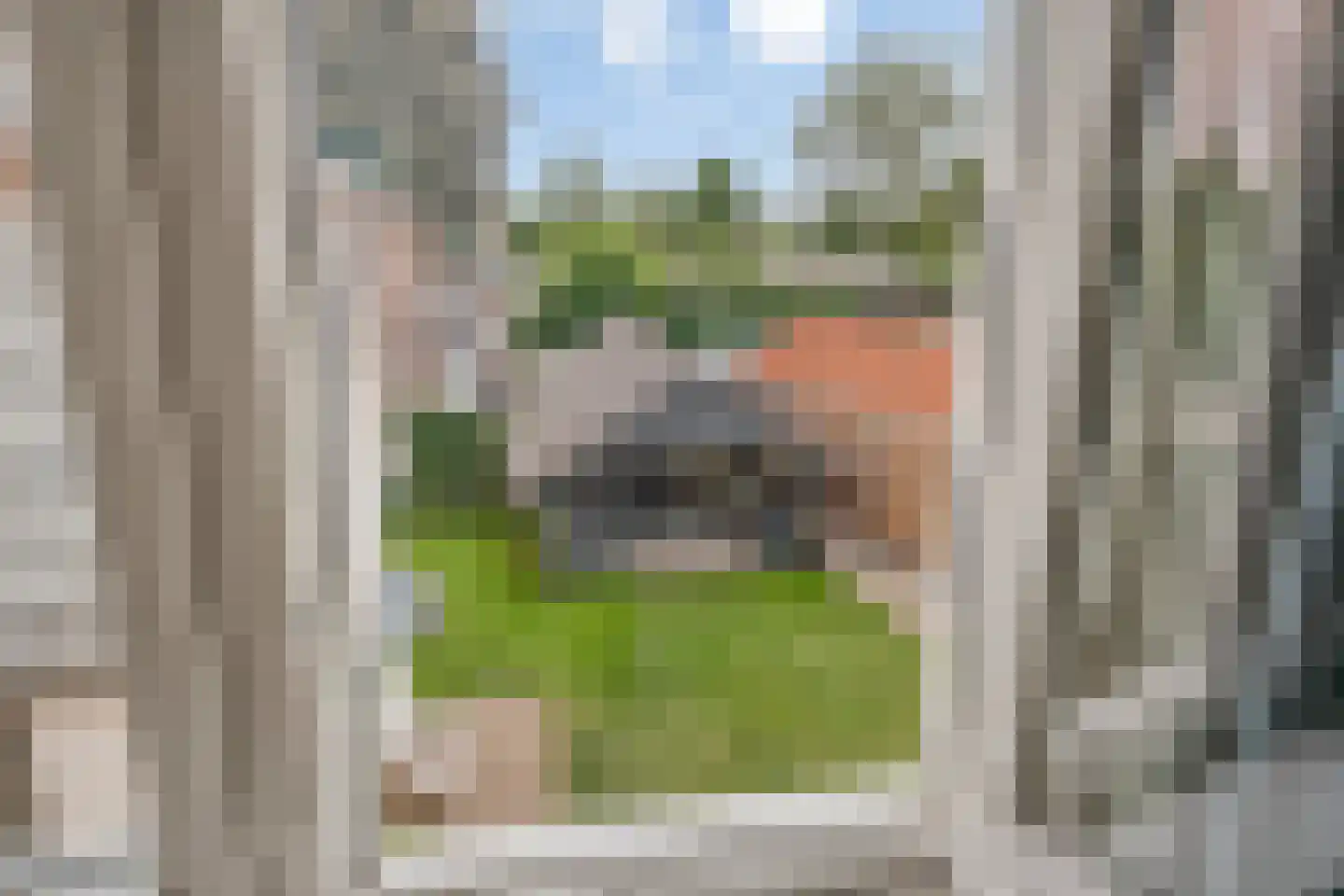 Veldweg 6 Eerbeek thumbnail 30