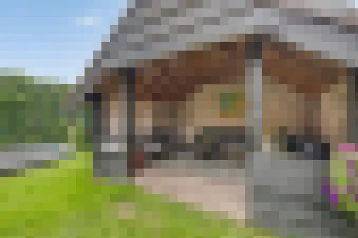 Veldweg 6 Eerbeek thumbnail 45