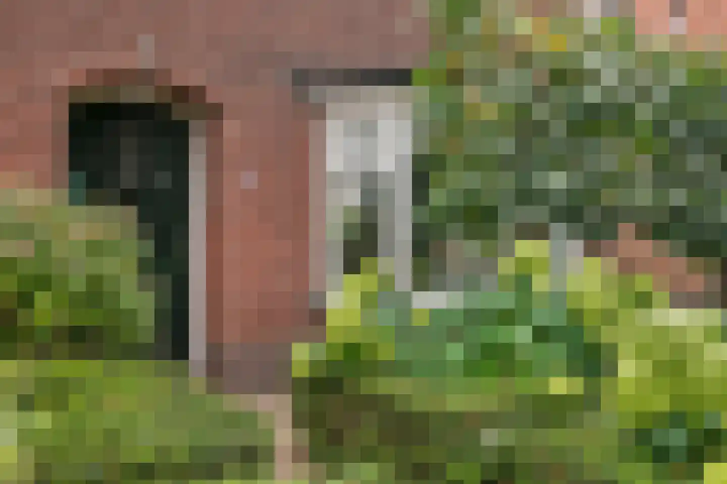 Veldweg 6 Eerbeek thumbnail 9