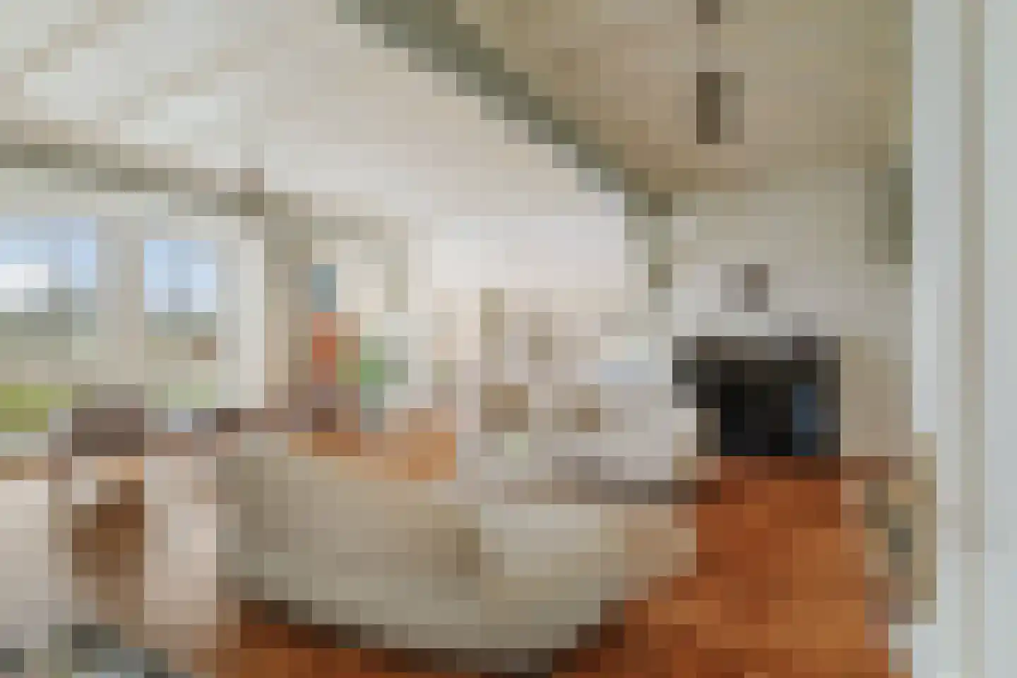 Veldweg 7 Welsum thumbnail 11
