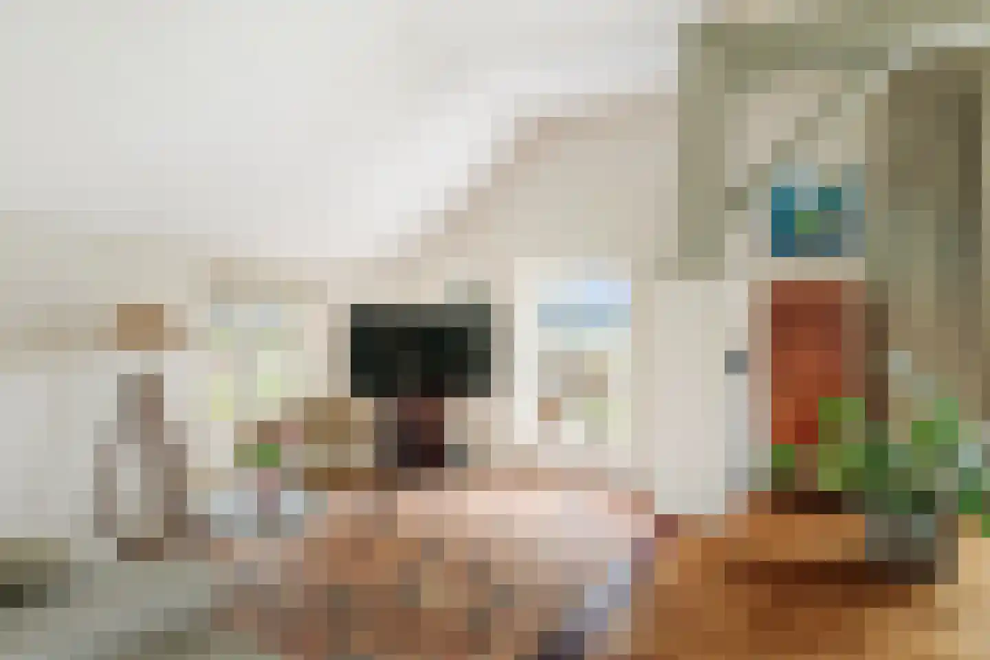 Veldweg 7 Welsum thumbnail 21