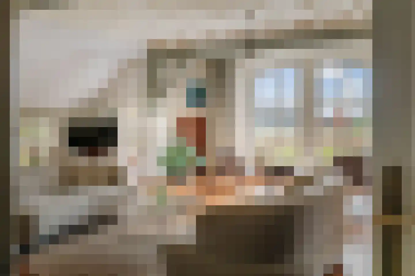 Veldweg 7 Welsum thumbnail 24