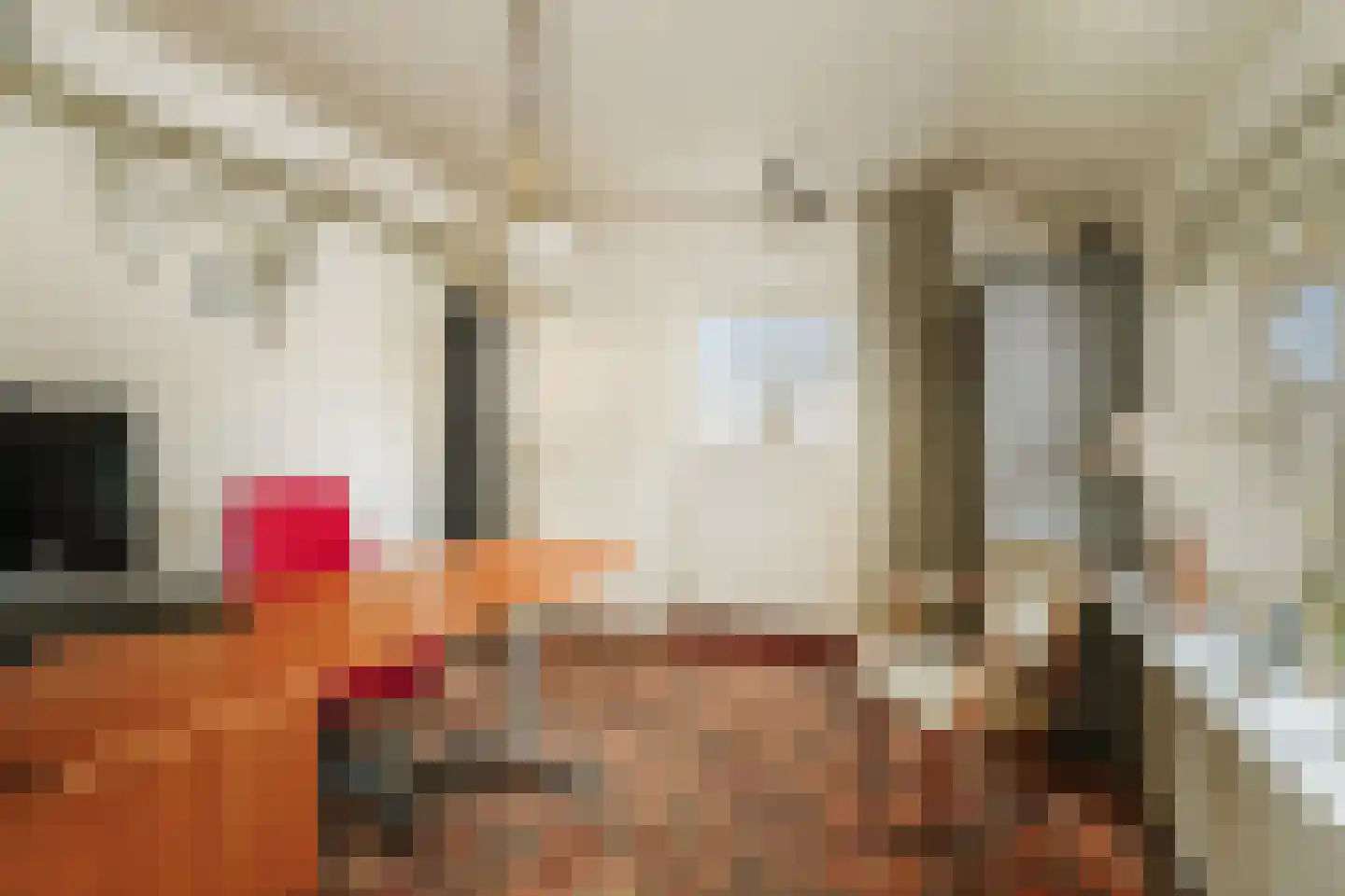 Veldweg 7 Welsum thumbnail 32