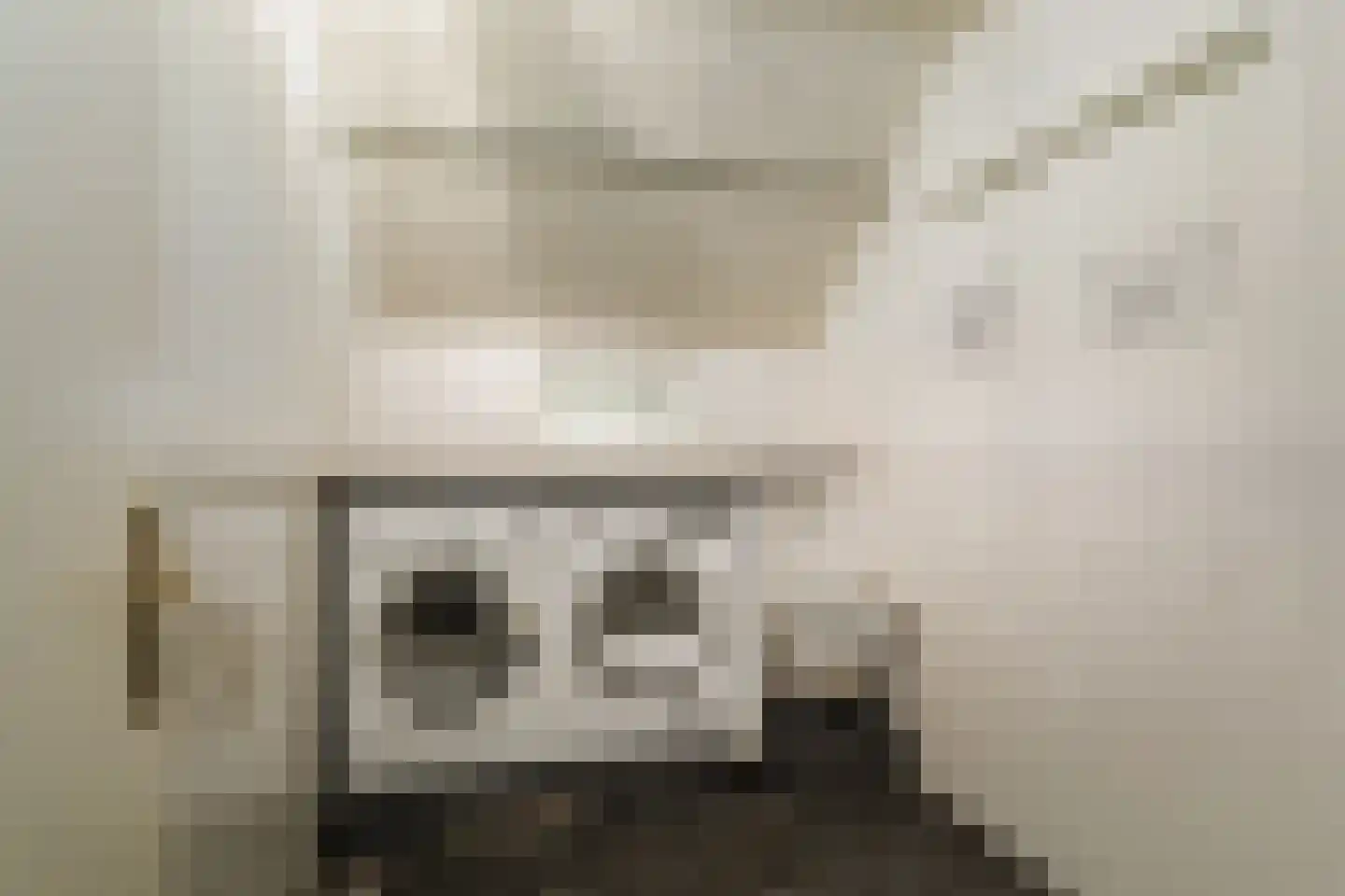 Veldweg 7 Welsum thumbnail 34