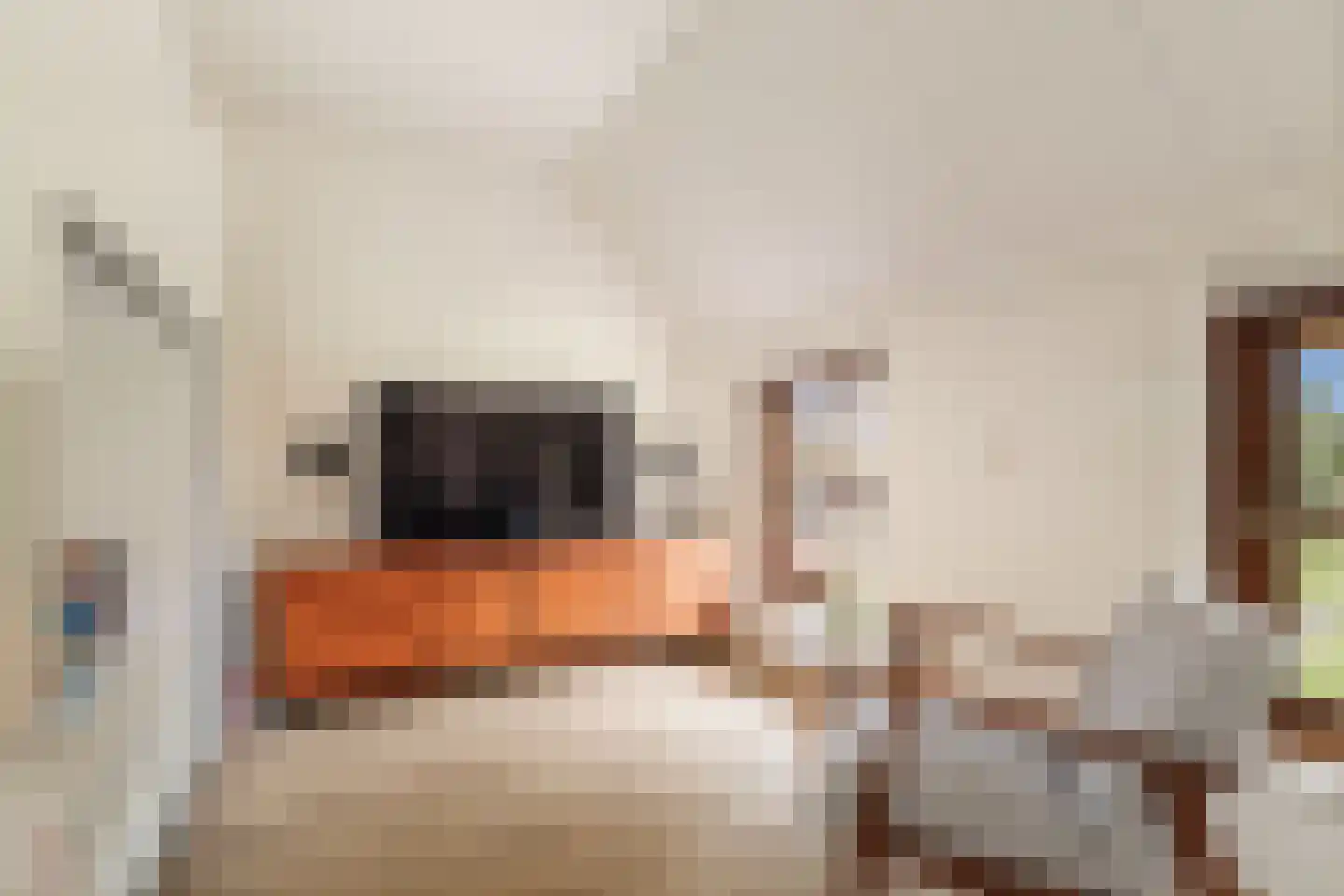 Veldweg 7 Welsum thumbnail 36