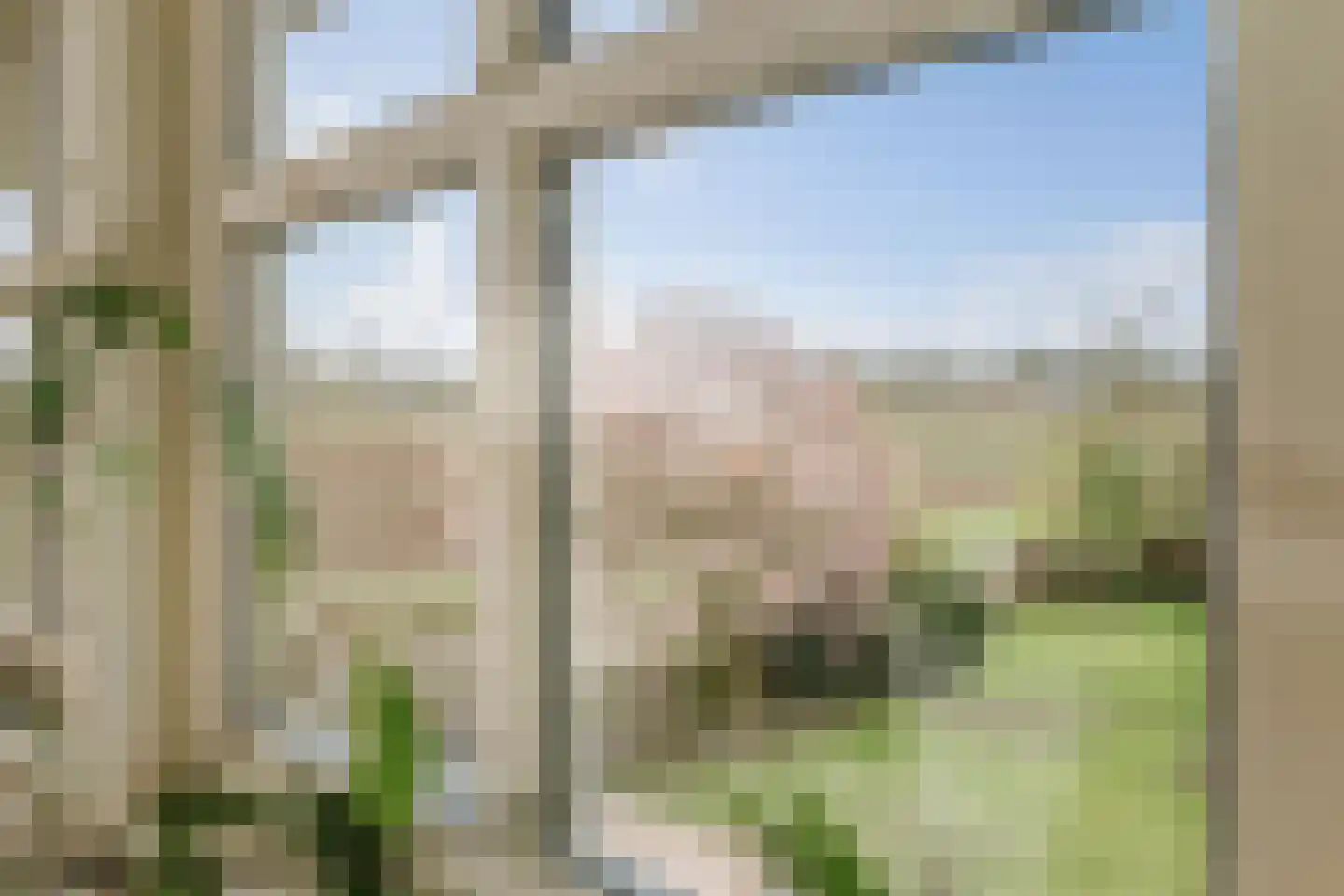 Veldweg 7 Welsum thumbnail 41
