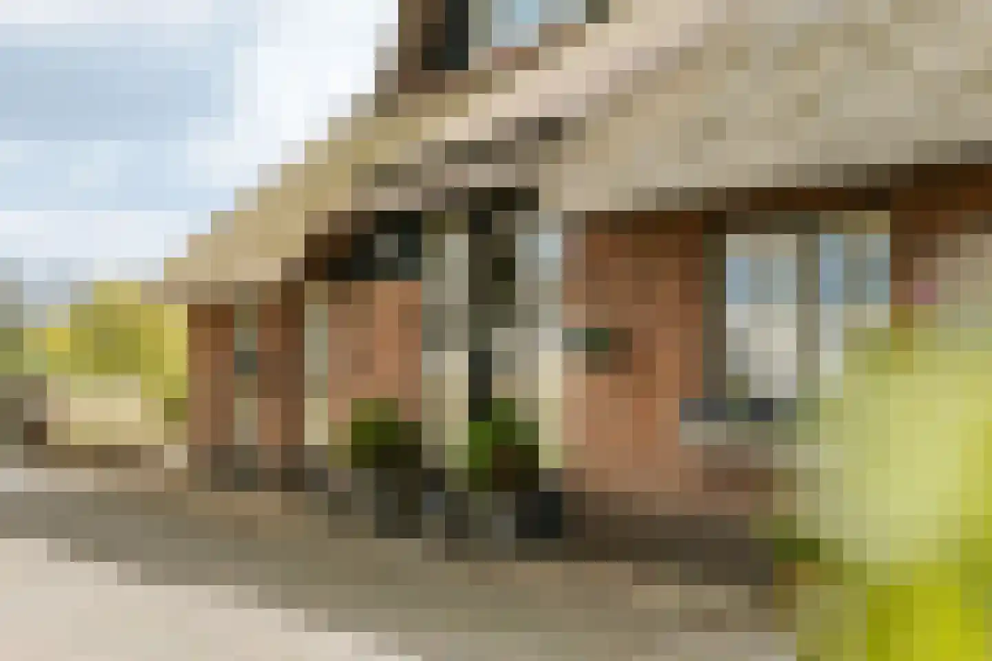Veldweg 7 Welsum thumbnail 56