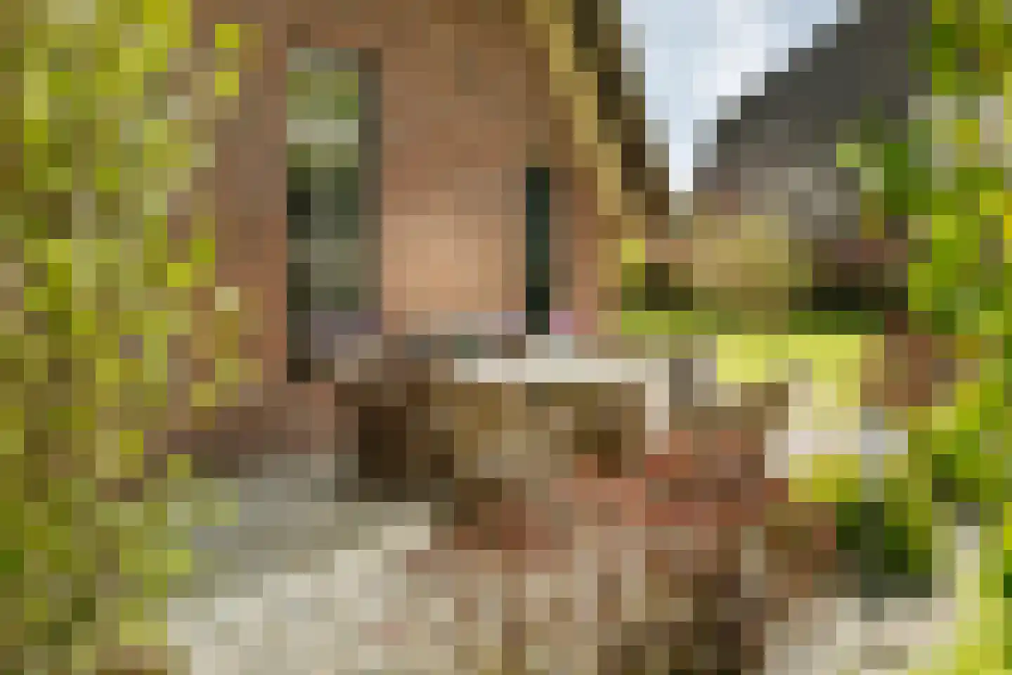 Veldweg 7 Welsum thumbnail 57