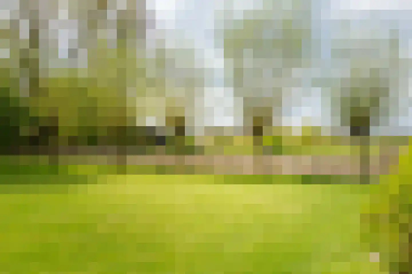 Veldweg 7 Welsum thumbnail 58