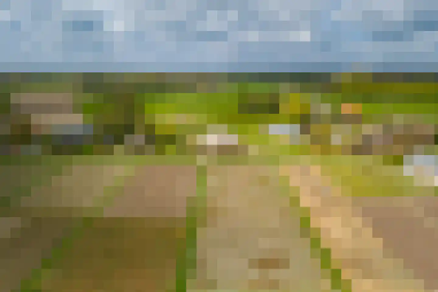 Veldweg 7 Welsum thumbnail 6