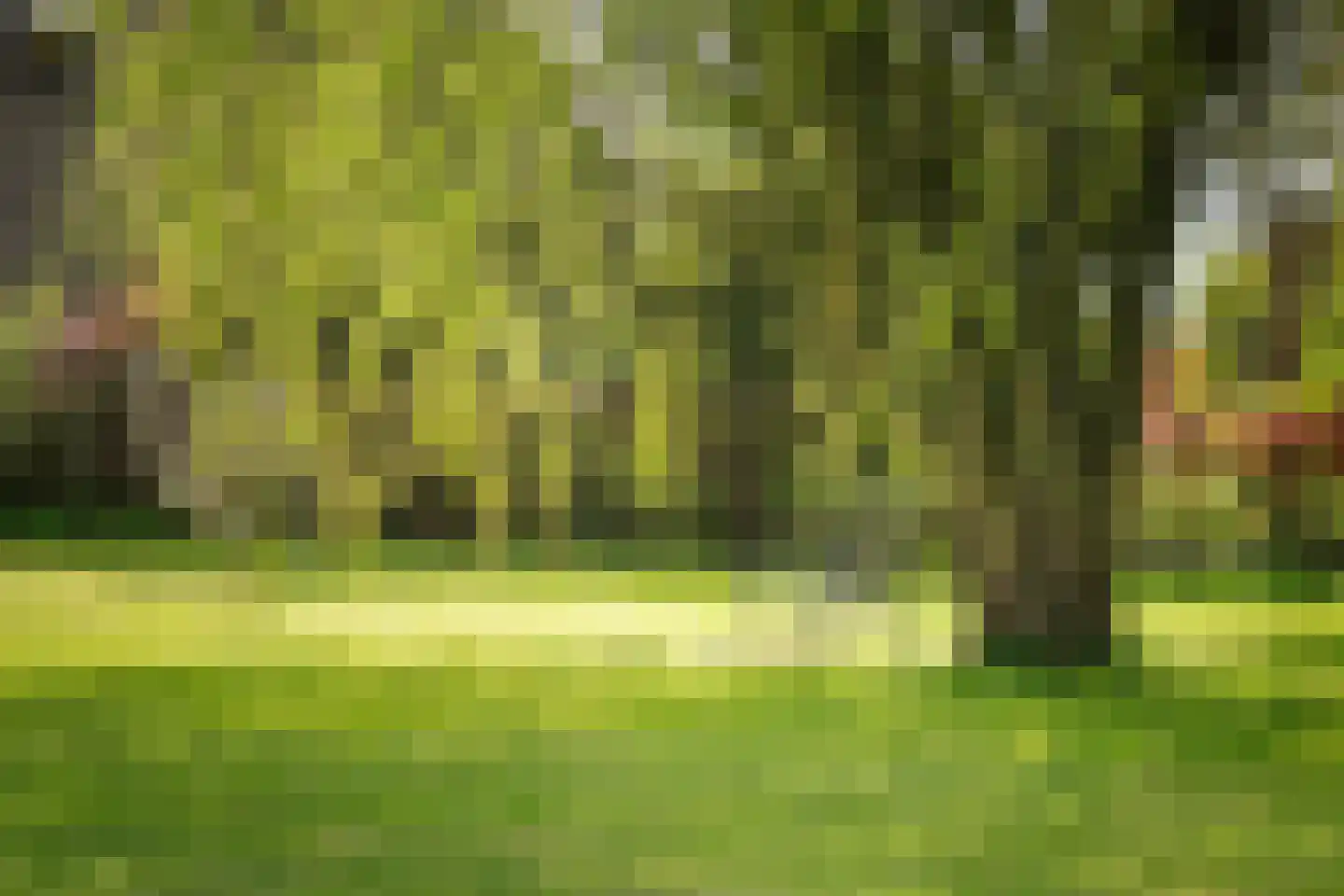 Veldweg 7 Welsum thumbnail 60