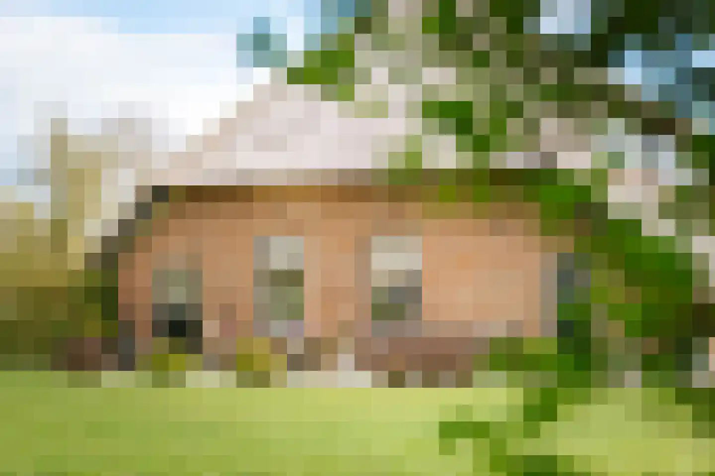 Veldweg 7 Welsum thumbnail 61