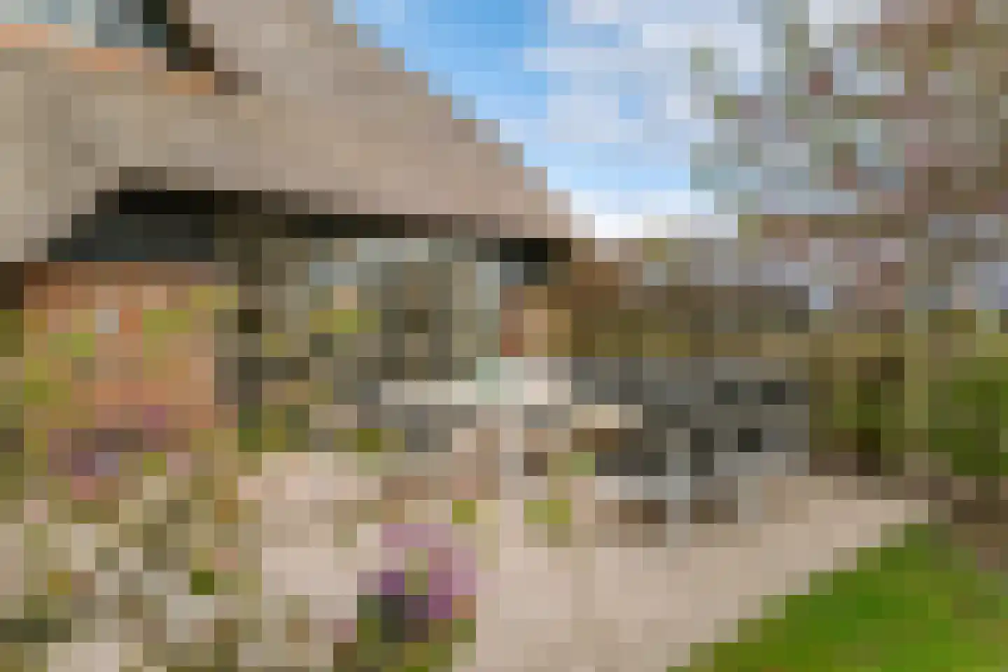Veldweg 7 Welsum thumbnail 63