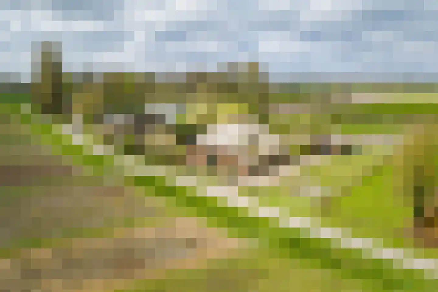 Veldweg 7 Welsum thumbnail 66