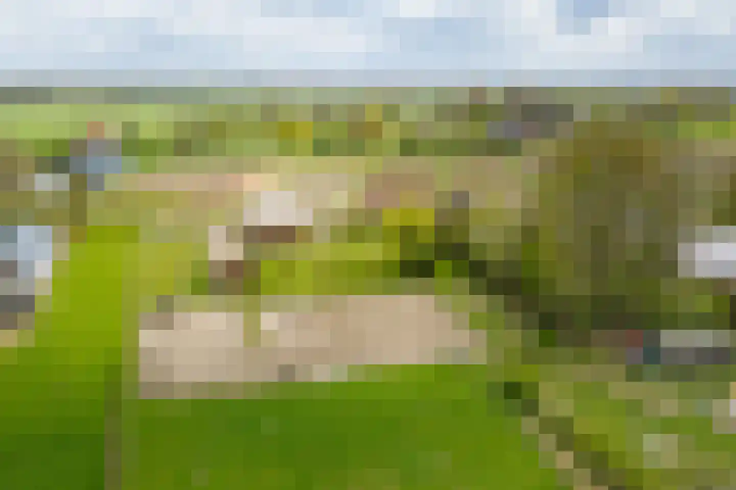 Veldweg 7 Welsum thumbnail 67