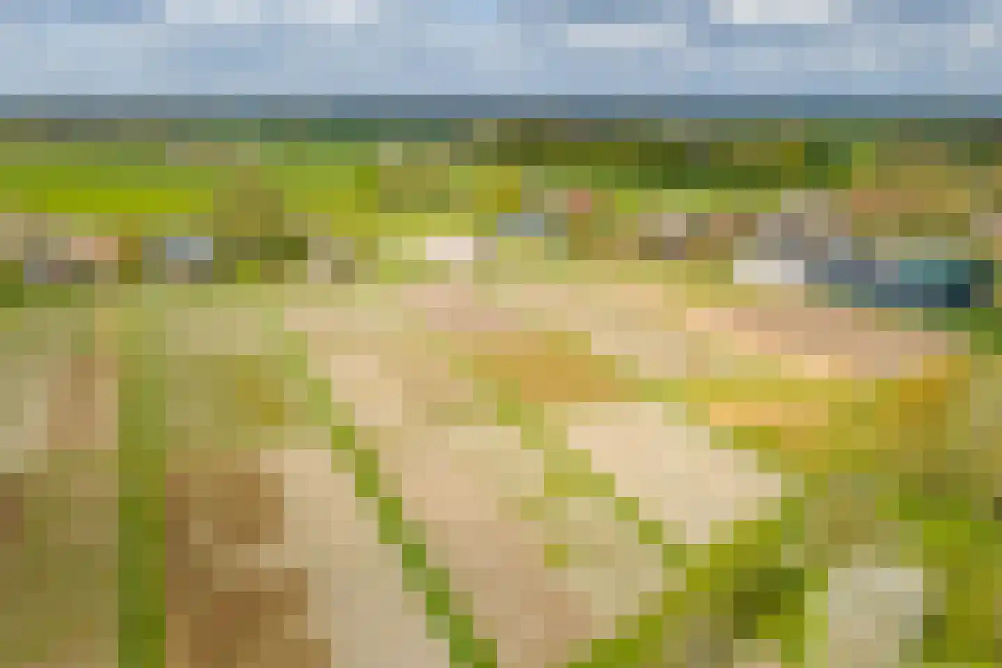 Veldweg 7 Welsum thumbnail 70