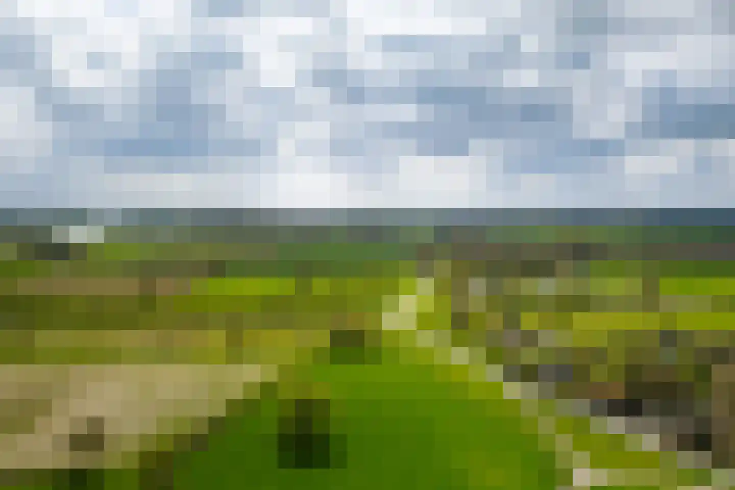 Veldweg 7 Welsum thumbnail 71