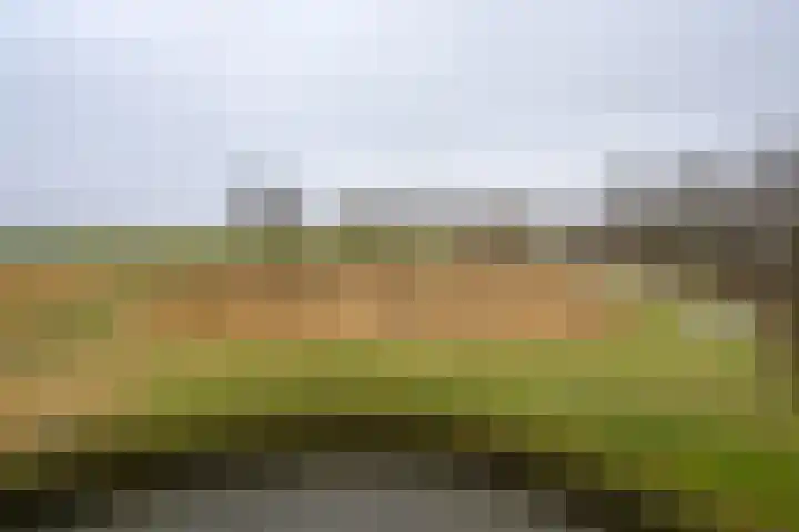 Veldweg 8 Almere thumbnail 42