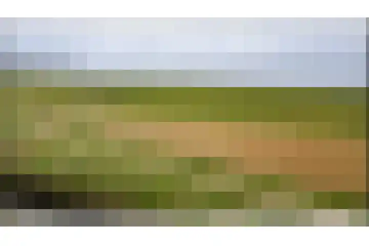 Veldweg 8 Almere thumbnail 5