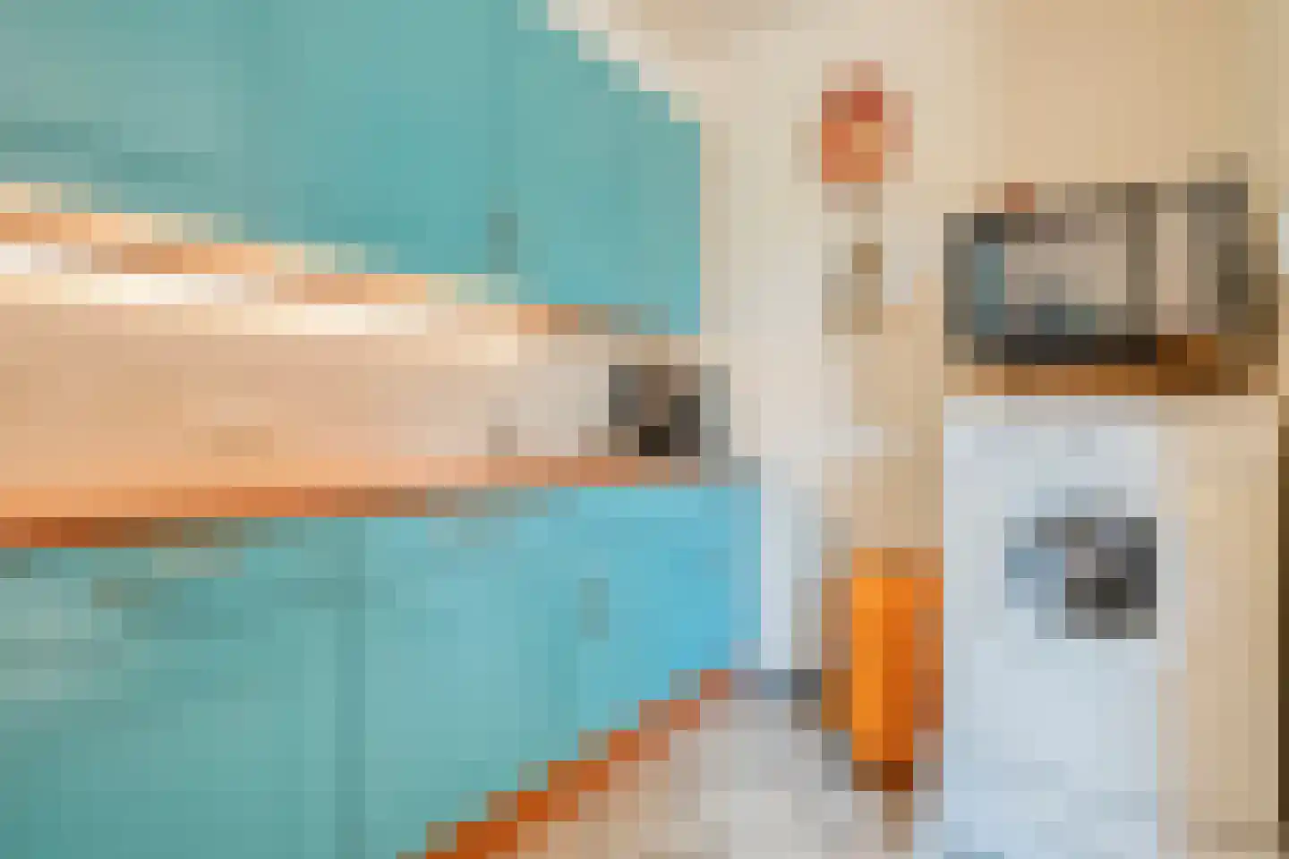Veldweg 9 Zwartsluis thumbnail 11