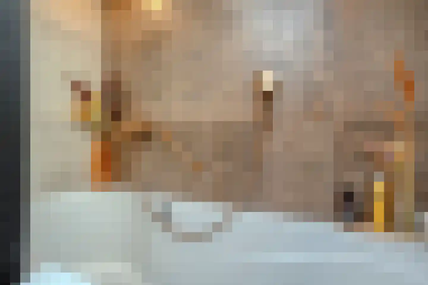 Veldweg 9 Zwartsluis thumbnail 17