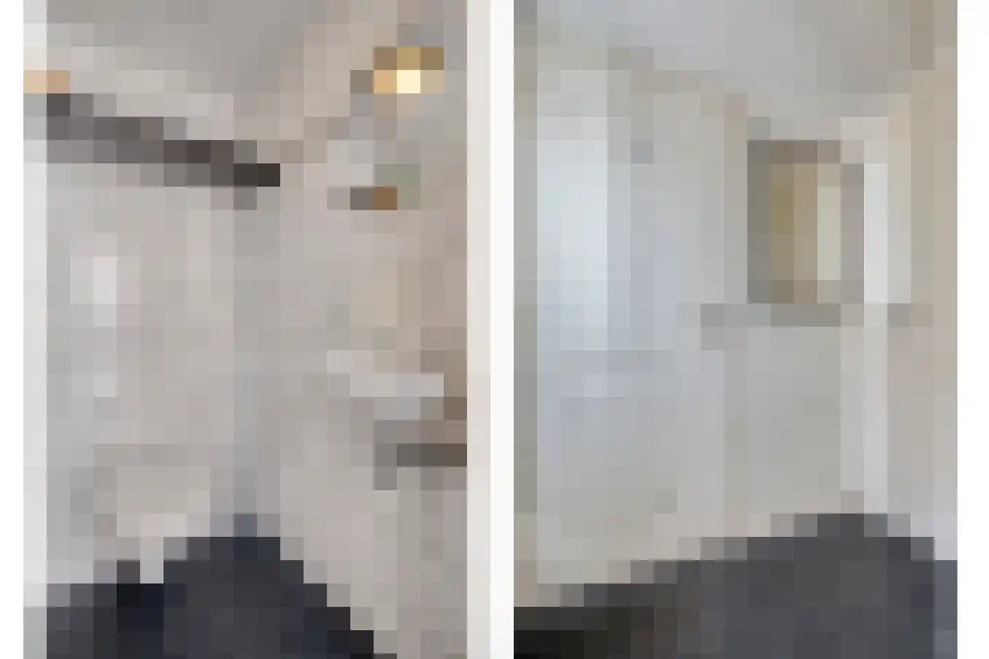 Veldweg 9 Zwartsluis thumbnail 18