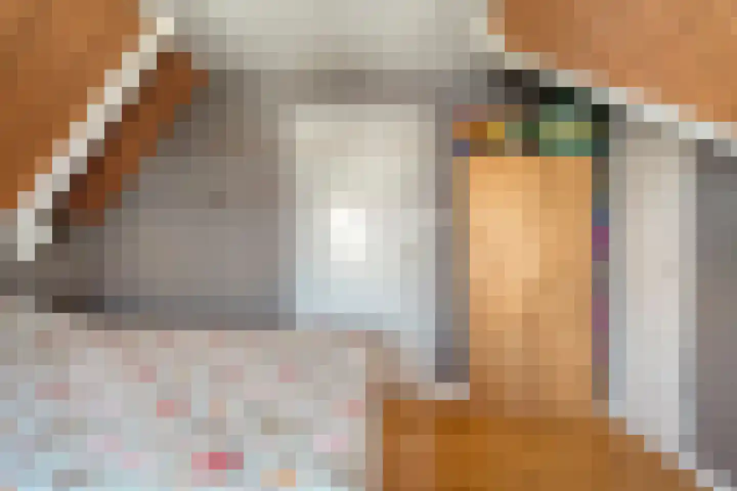 Veldweg 9 Zwartsluis thumbnail 23