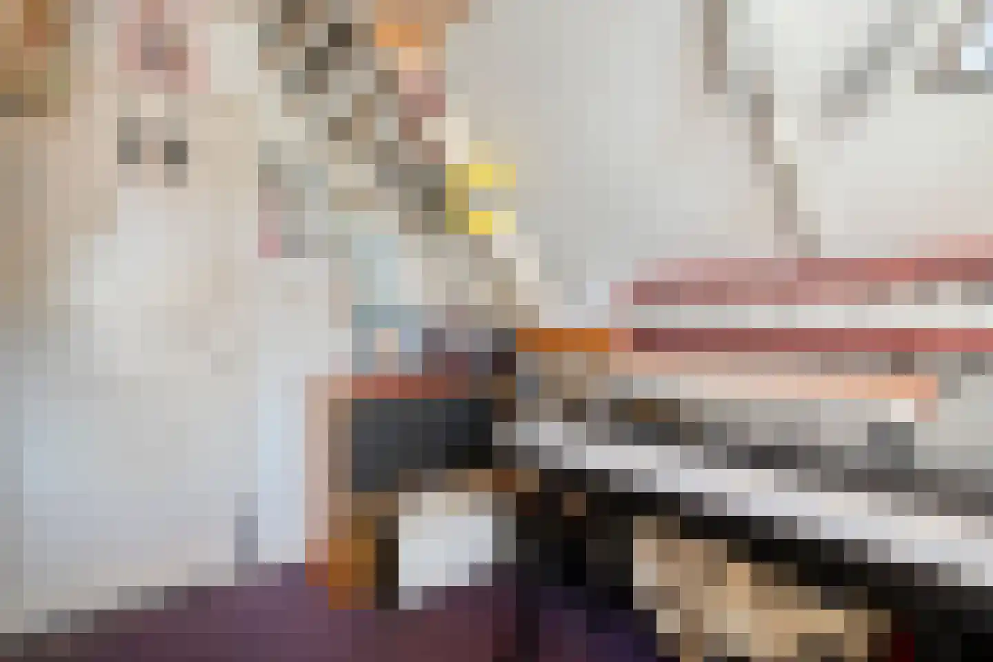 Veldweg 9 Zwartsluis thumbnail 25