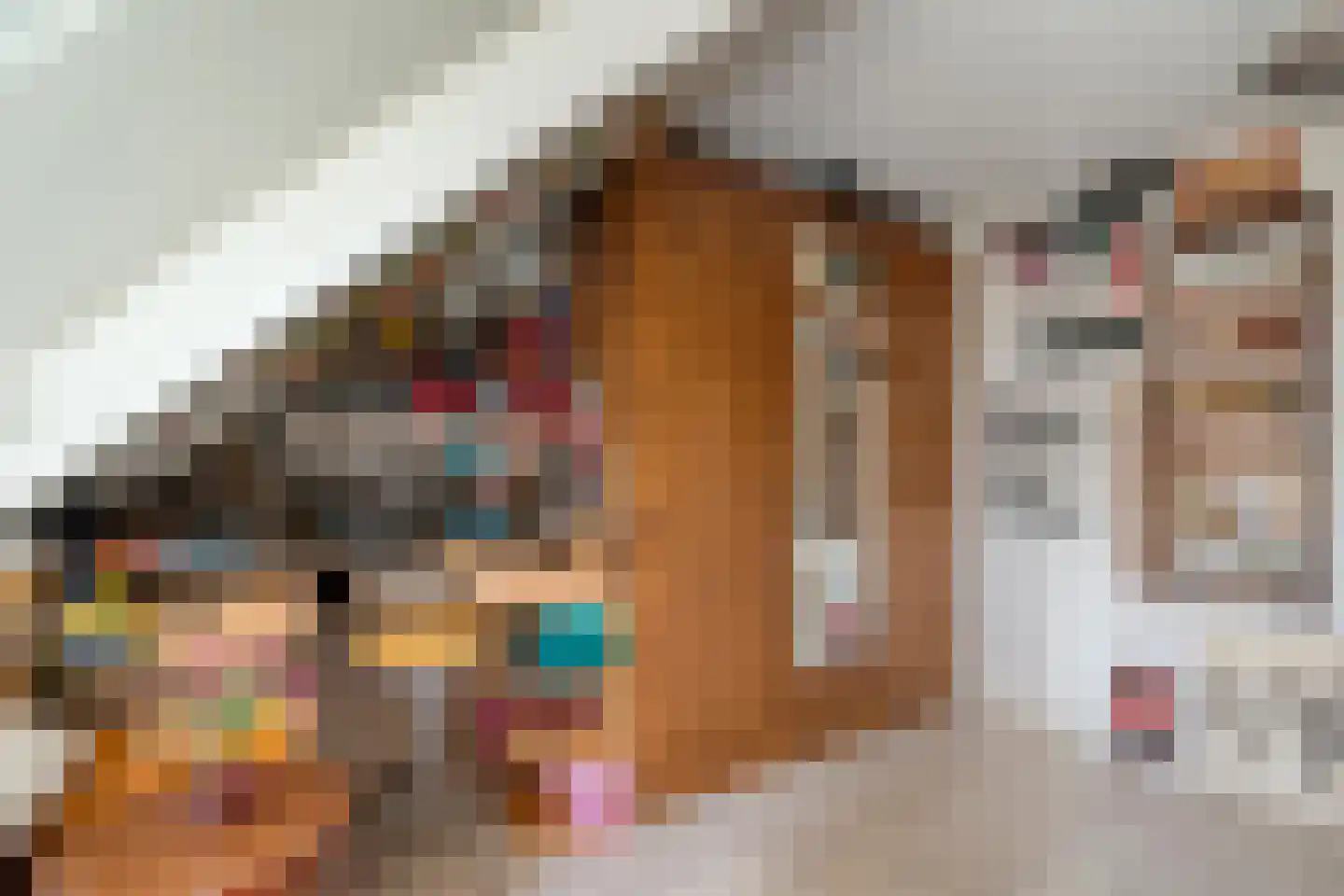 Veldweg 9 Zwartsluis thumbnail 27