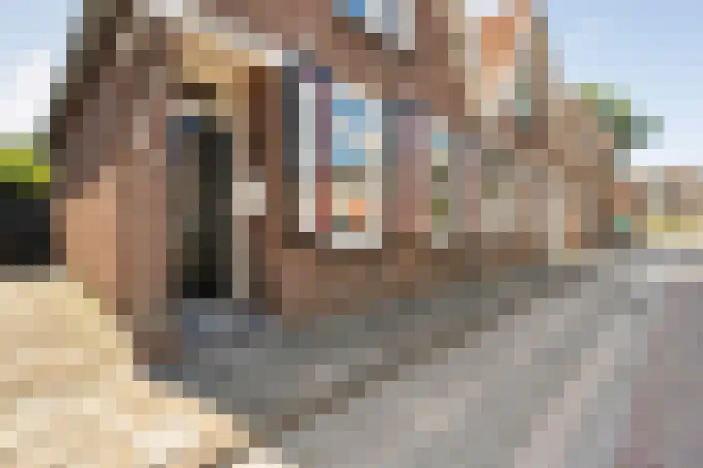 Veldweg 9 Zwartsluis thumbnail 40