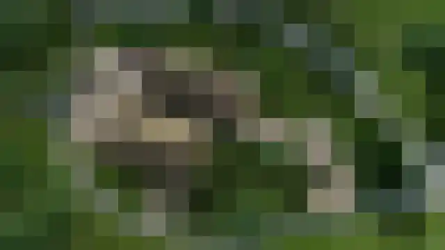 Veldwijk 12 Ermelo thumbnail 13