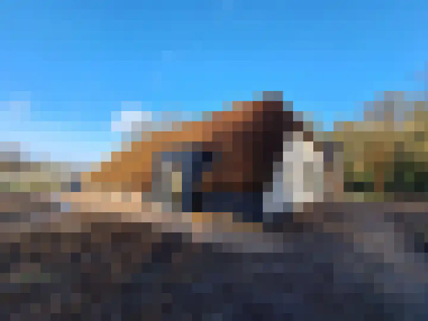 Veldwijk 12 Ermelo thumbnail 4