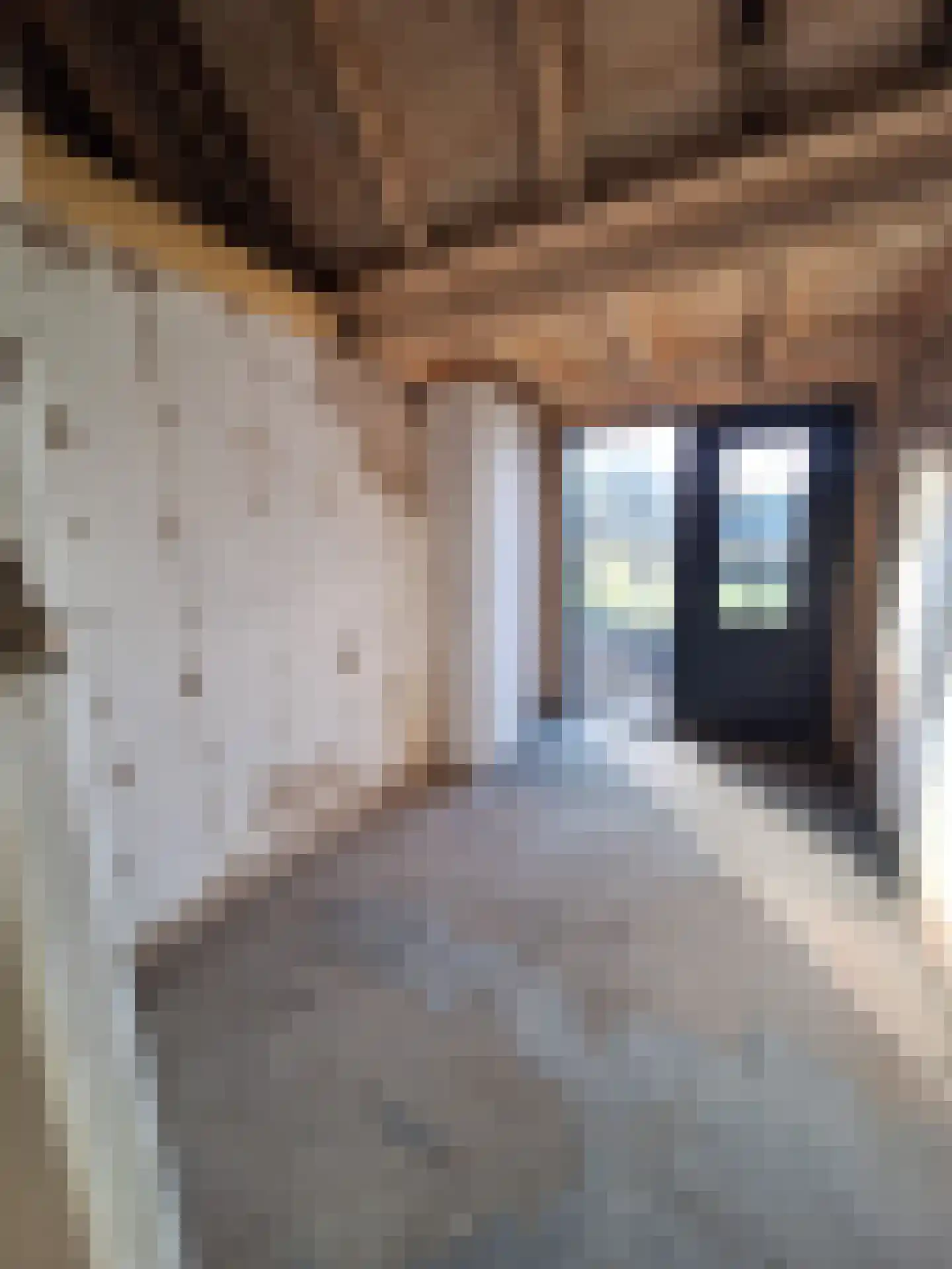 Veldwijk 12 Ermelo thumbnail 9