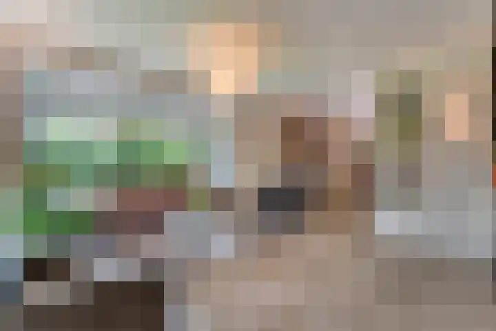 Veldwijk 7 Tubbergen thumbnail 12