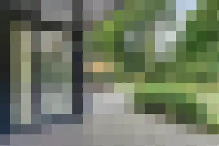 Veldwijk 7 Tubbergen thumbnail 26