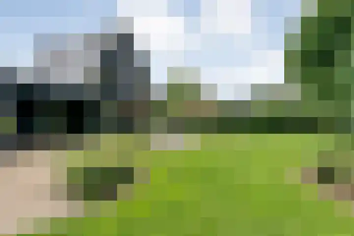 Veldwijk 7 Tubbergen thumbnail 28