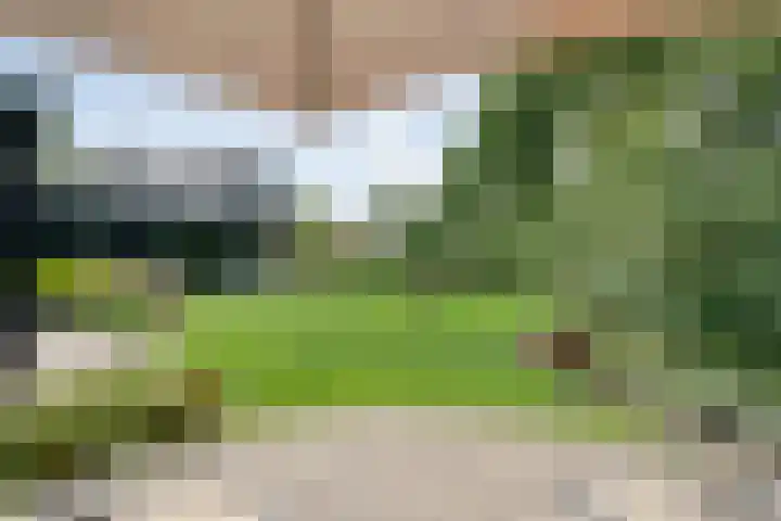 Veldwijk 7 Tubbergen thumbnail 29