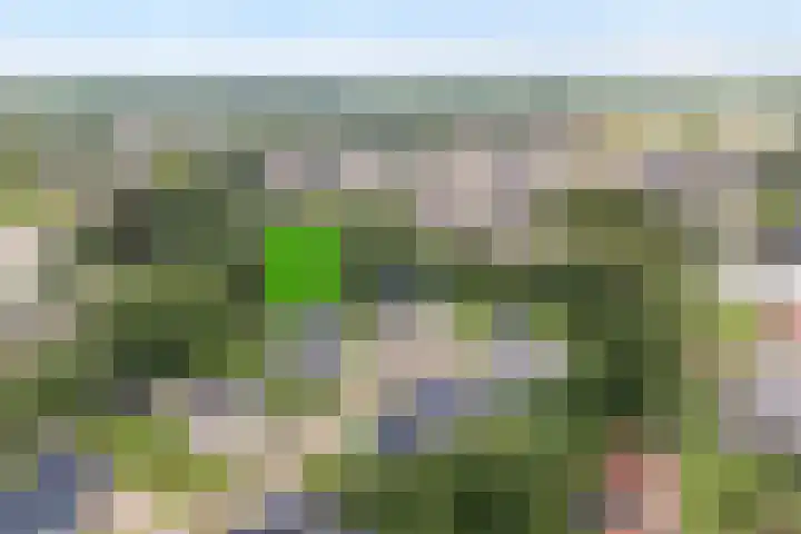 Veldwijk 7 Tubbergen thumbnail 31