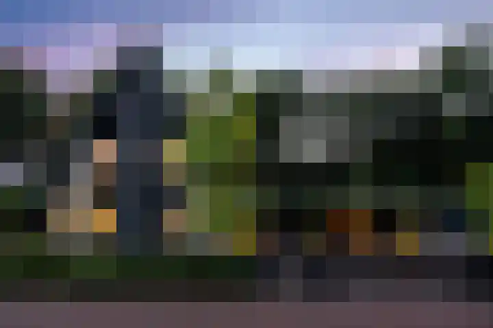 Veldwijk 7 Tubbergen thumbnail 34