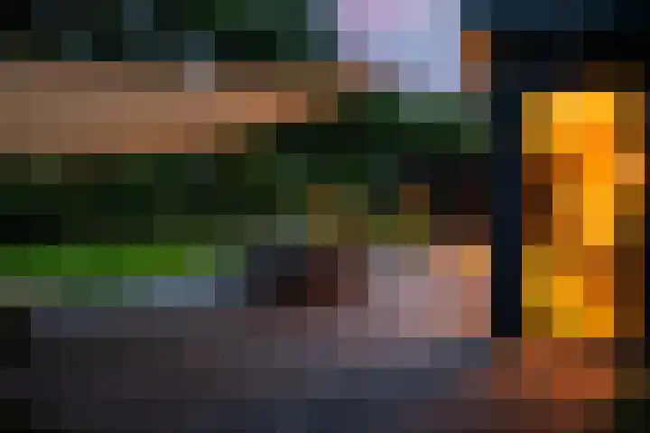 Veldwijk 7 Tubbergen thumbnail 38