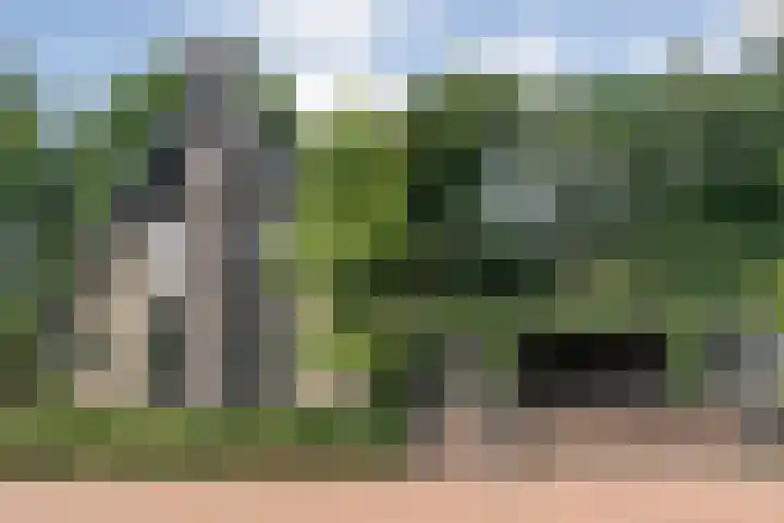 Veldwijk 7 Tubbergen thumbnail 4