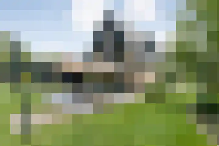 Veldwijk 7 Tubbergen thumbnail 5