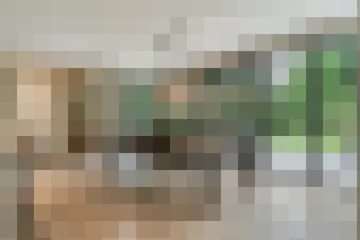 Veldwijk 7 Tubbergen thumbnail 8
