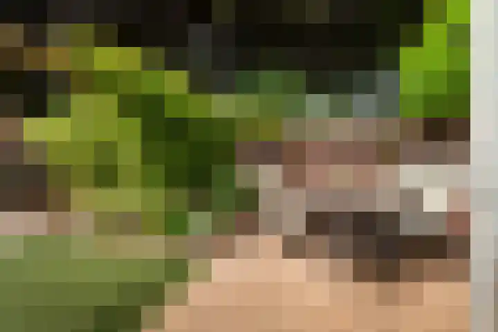 Veldwijkerweg 14 Ermelo thumbnail 19