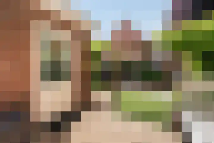 Veldwijkerweg 14 Ermelo thumbnail 20