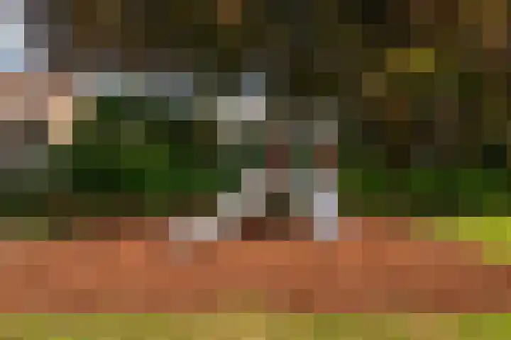 Veldwijkerweg 14 Ermelo thumbnail 33