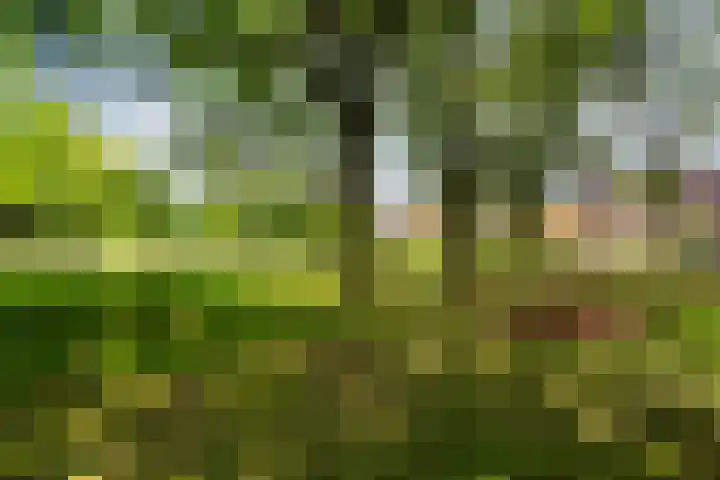 Veldwijkerweg 14 Ermelo thumbnail 35