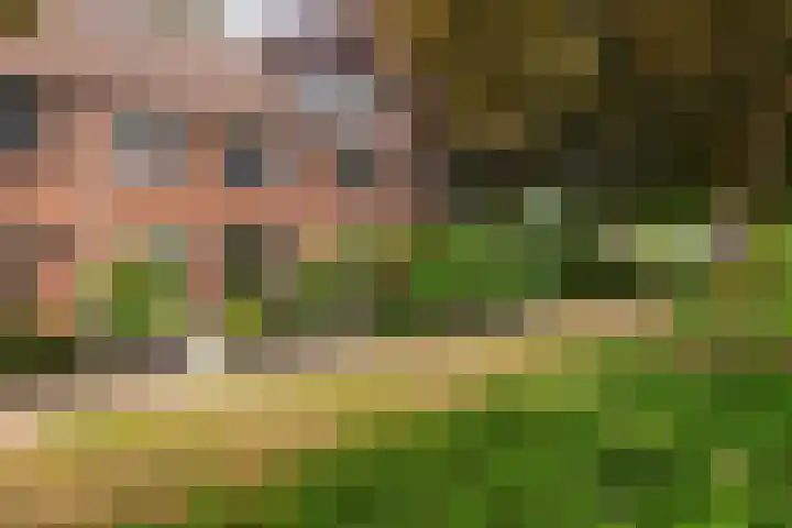 Veldwijkerweg 14 Ermelo thumbnail 4