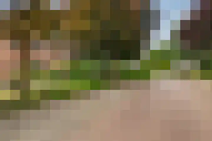 Veldwijkerweg 14 Ermelo thumbnail 5